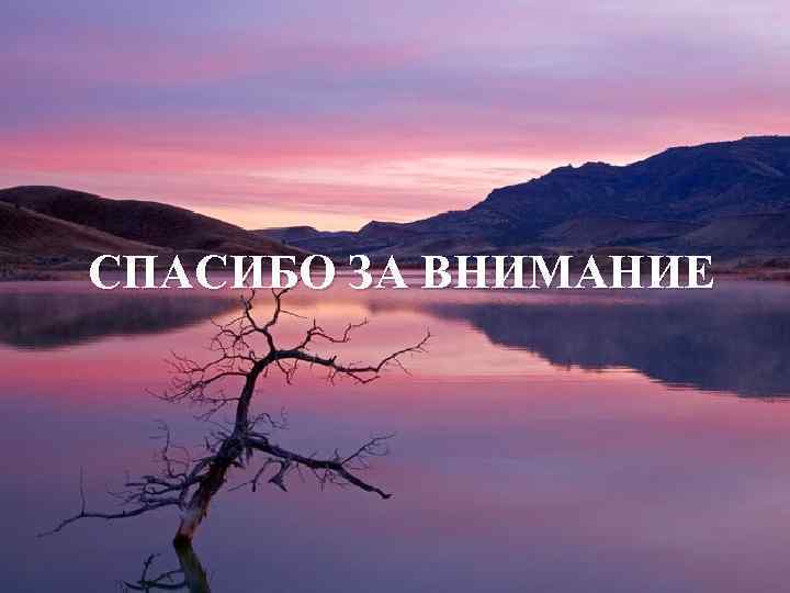 СПАСИБО ЗА ВНИМАНИЕ 