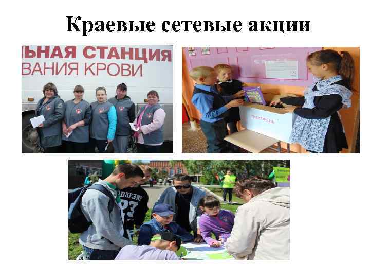 Краевые сетевые акции 