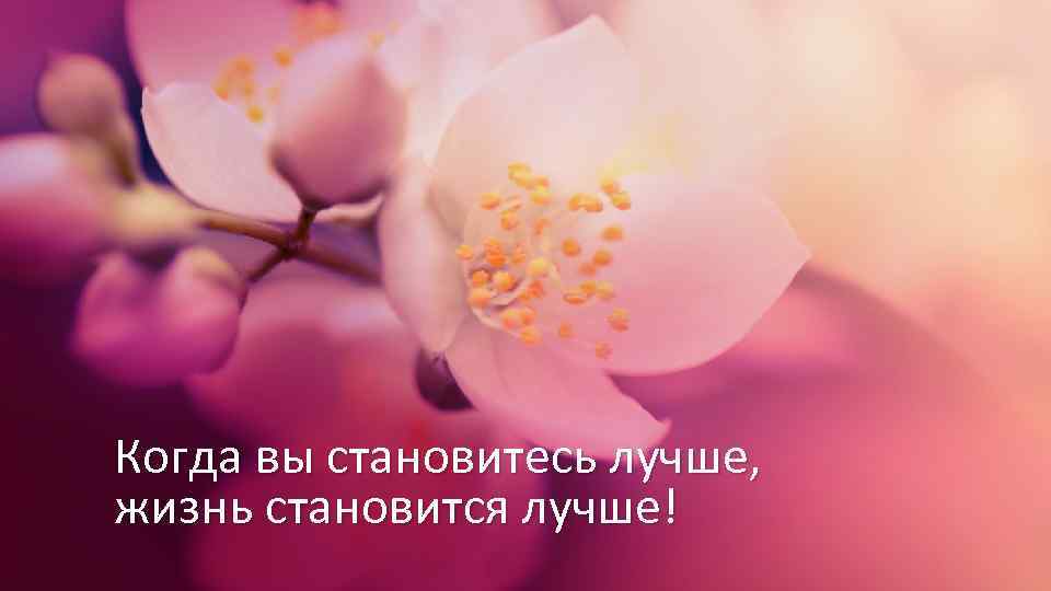 Когда вы становитесь лучше, жизнь становится лучше! 