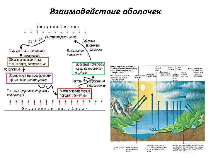 К примерам взаимодействия биосферы. Схема взаимодействия оболочек земли. Взаимодействие оболочек земли таблица. Схема взаимосвязи оболочек земли. Взаимодействие организмов с земными оболочками.