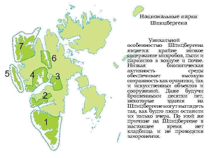 Национальные парки Шпицбергена Уникальной особенностью Шпицбергена является крайне низкое содержание микробов, пыли и паразитов