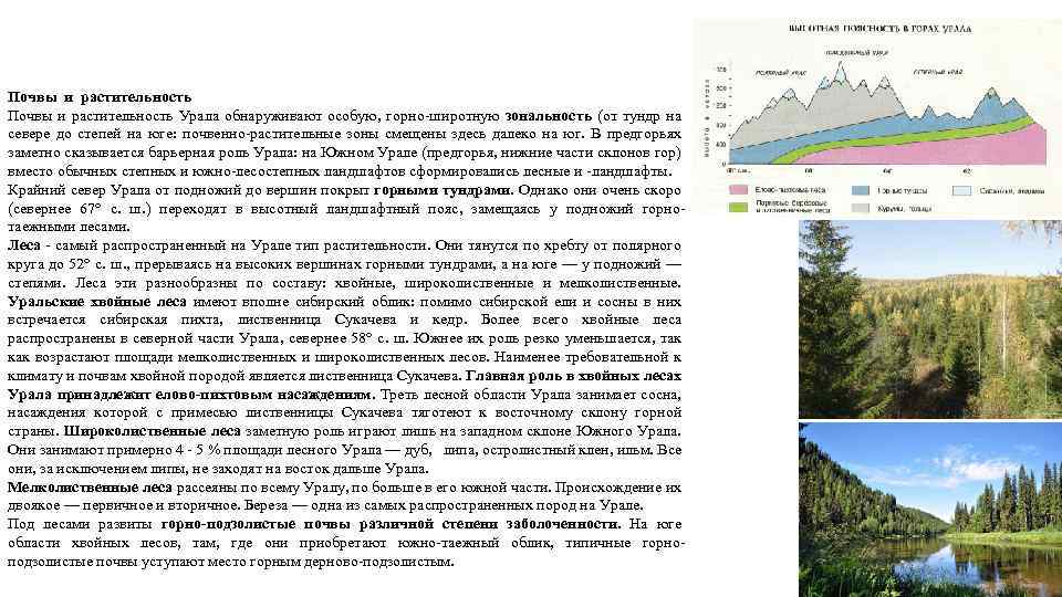 Почвы и растительность Урала обнаруживают особую, горно-широтную зональность (от тундр на севере до степей