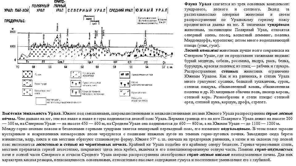 Фауна Урала слагается из трех основных комплексов: тундрового, лесного и степного. Вслед за растительностью