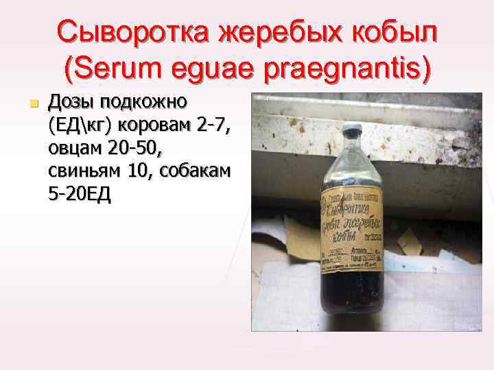 Сыворотка жеребых кобыл (Serum eguae praegnantis) n Дозы подкожно (ЕДкг) коровам 2 -7, овцам