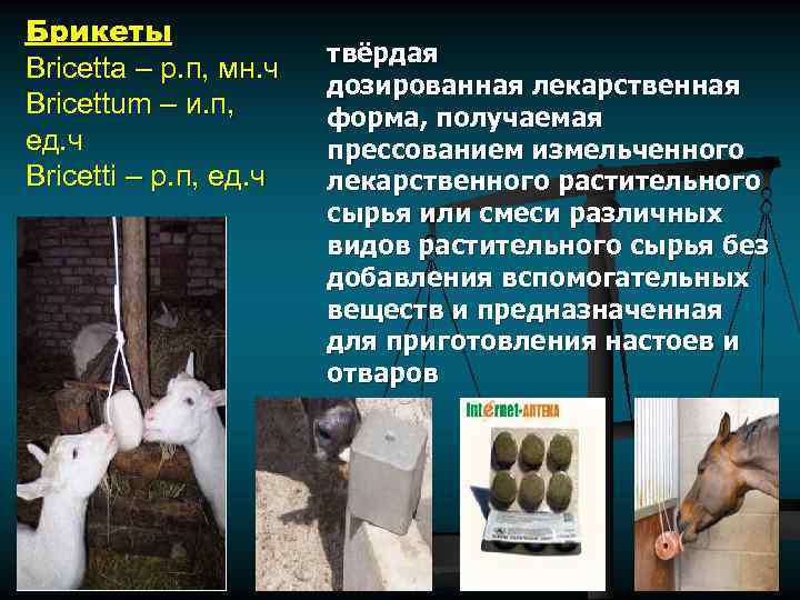 Брикеты Bricetta – р. п, мн. ч Bricettum – и. п, ед. ч Bricetti