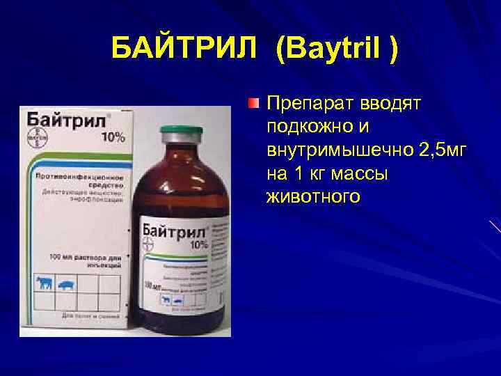 БАЙТРИЛ (Baytril ) Препарат вводят подкожно и внутримышечно 2, 5 мг на 1 кг