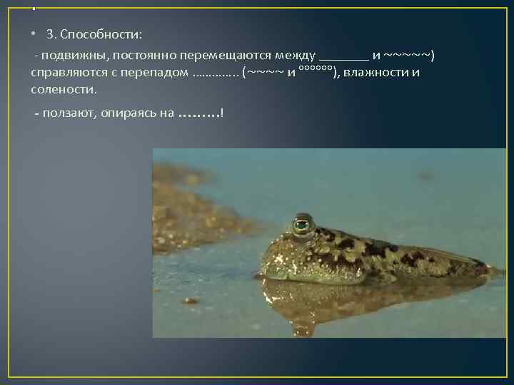 . • 3. Способности: - подвижны, постоянно перемещаются между _______ и ~~~~~) справляются с