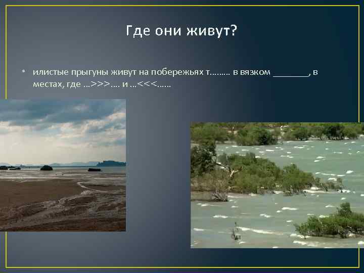 Где они живут? • илистые прыгуны живут на побережьях т……… в вязком _______, в