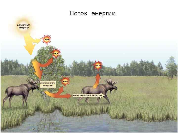 Поток энергии 