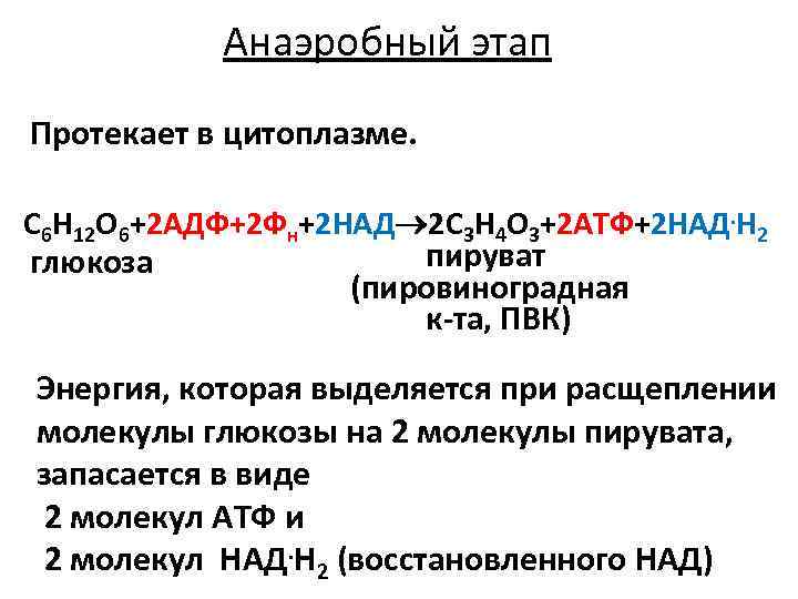 Анаэробный этап Протекает в цитоплазме. С 6 Н 12 О 6+2 АДФ+2 Фн+2 НАД