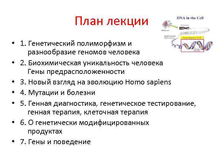 План лекции • 1. Генетический полиморфизм и разнообразие геномов человека • 2. Биохимическая уникальность