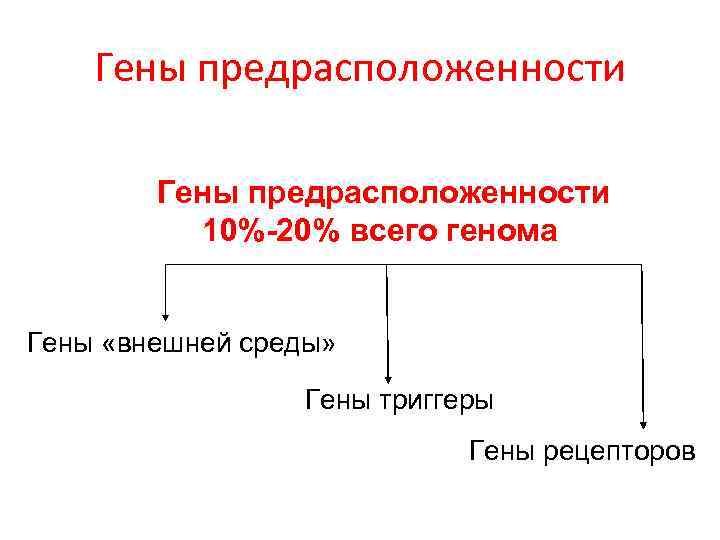 Гены предрасположенности 10%-20% всего генома Гены «внешней среды» Гены триггеры Гены рецепторов 