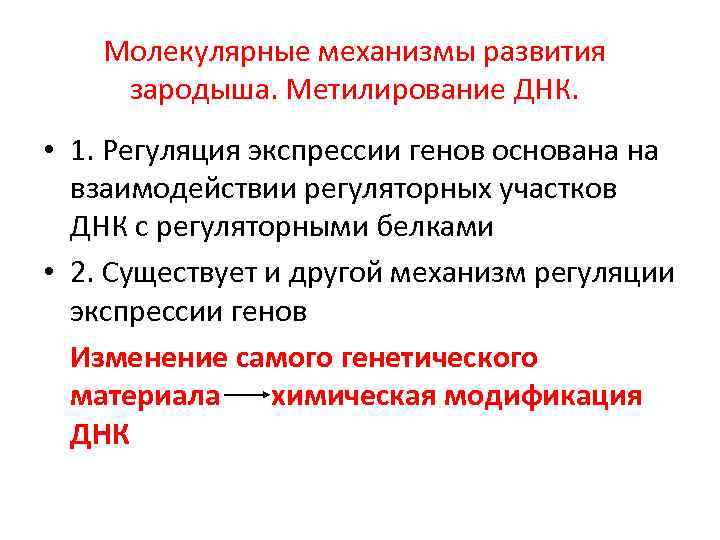 Молекулярные механизмы развития зародыша. Метилирование ДНК. • 1. Регуляция экспрессии генов основана на взаимодействии