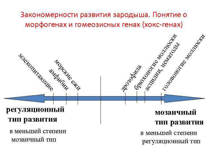 оз и еж и би ие в меньшей степени мозаичный тип др ие фи