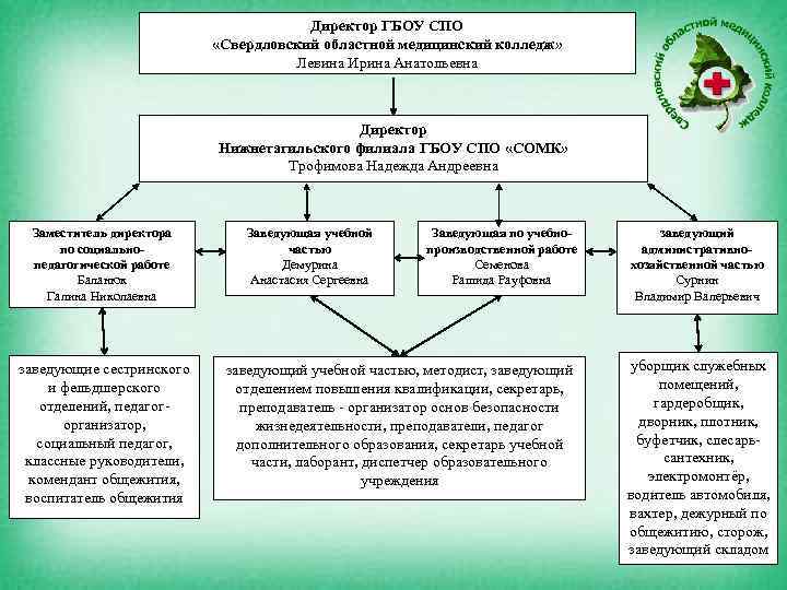 Директор ГБОУ СПО «Свердловский областной медицинский колледж» Левина Ирина Анатольевна Директор Нижнетагильского филиала ГБОУ