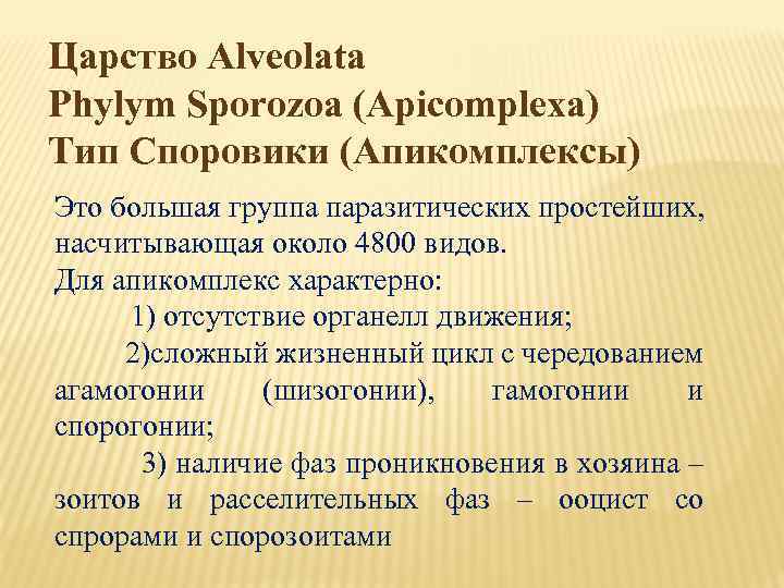 Царство Alveolata Phylym Sporozoa (Apicomplexa) Тип Споровики (Апикомплексы) Это большая группа паразитических простейших, насчитывающая