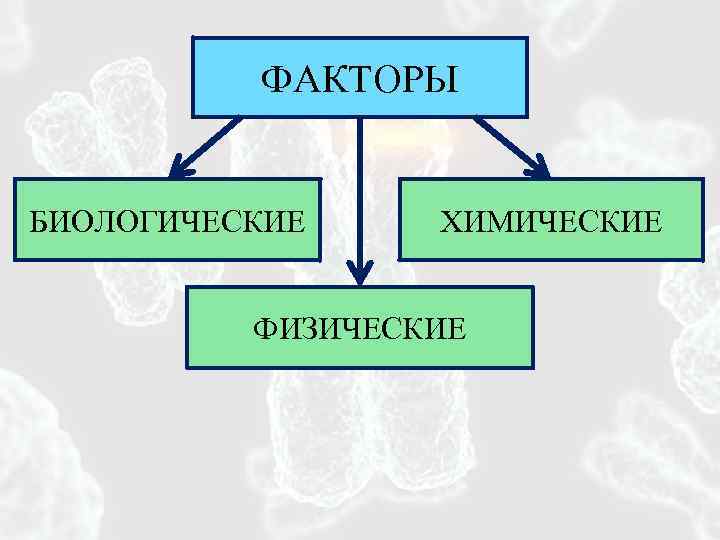 Факторы физической природы. Факторы окружающей среды химические физические биологические. Химические природные факторы. Физические и химические факторы среды. Факторы среды физические химические биологические.