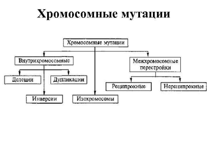 Хромосомные мутации 
