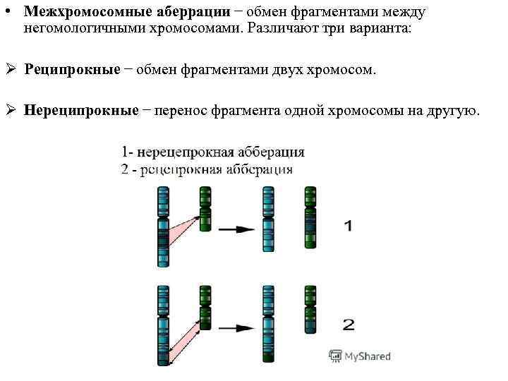 Какой процесс происходит в хромосомах