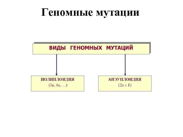 Геномные мутации 