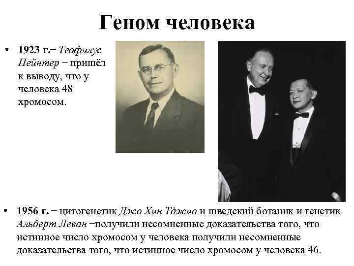 Геном человека • 1923 г. Теофилус Пейнтер пришёл к выводу, что у человека 48