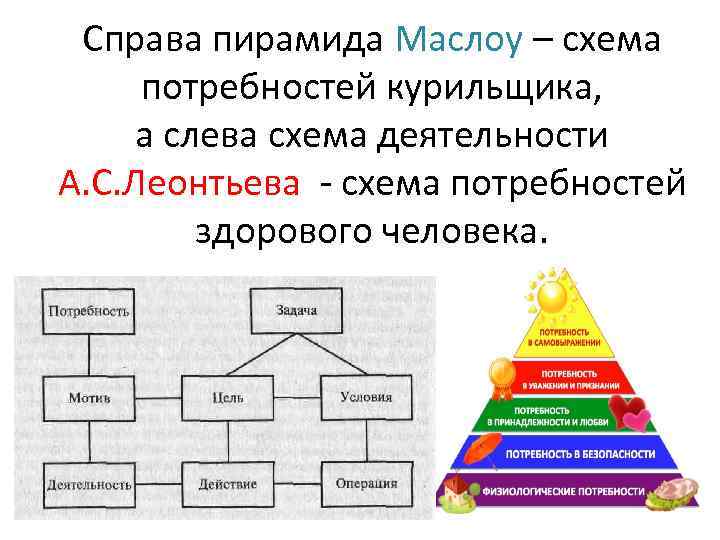 Деятельность человека деятельность потребности виды деятельности