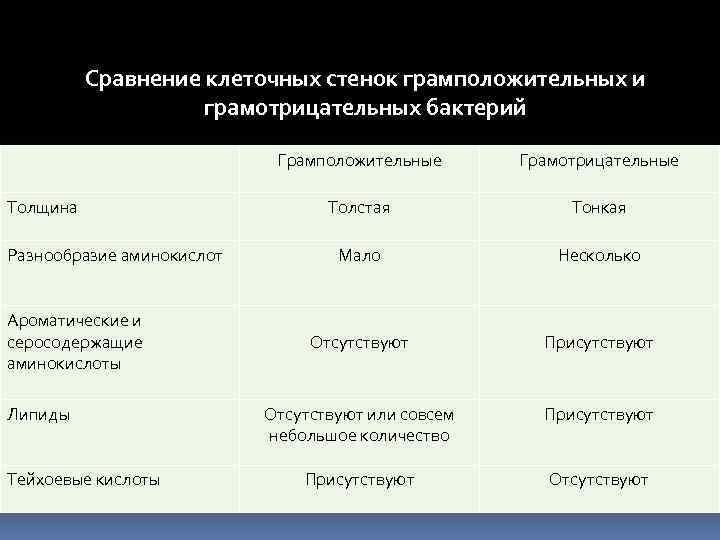 Транспорт питательных веществ бактерий