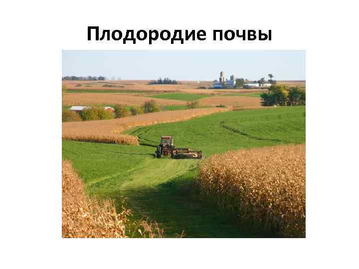 Плодородие почвы 