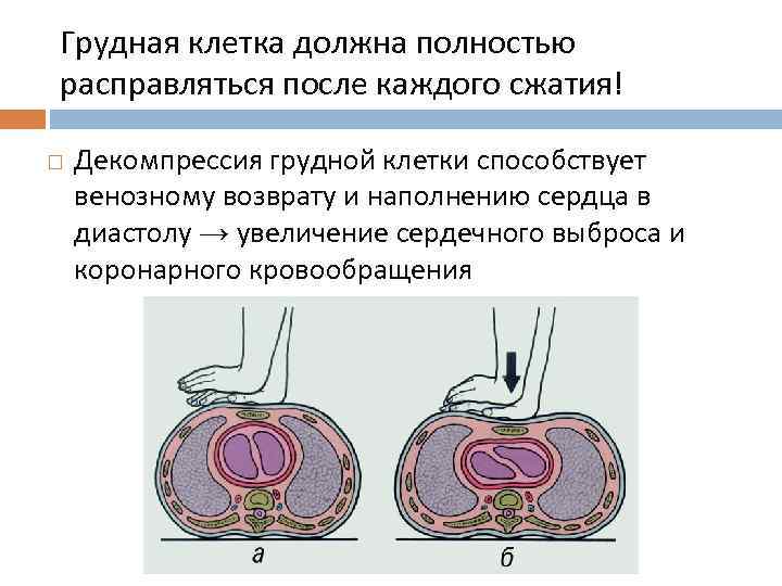 Грудная клетка должна полностью расправляться после каждого сжатия! Декомпрессия грудной клетки способствует венозному возврату