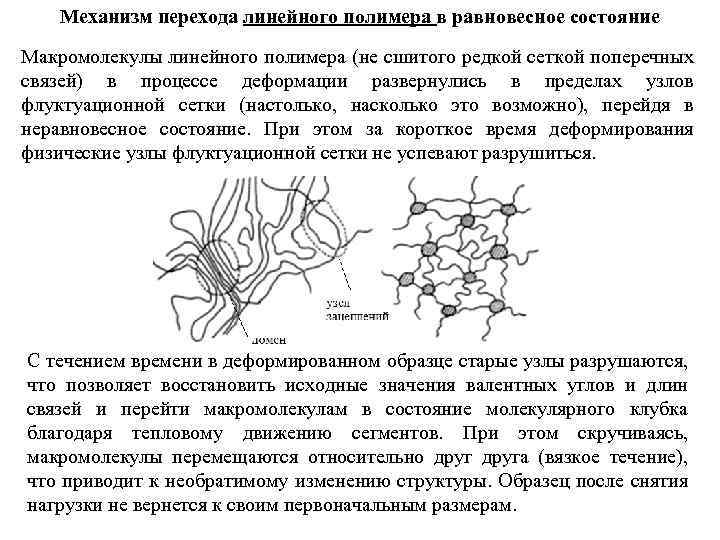 Механизм перехода линейного полимера в равновесное состояние Макромолекулы линейного полимера (не сшитого редкой сеткой