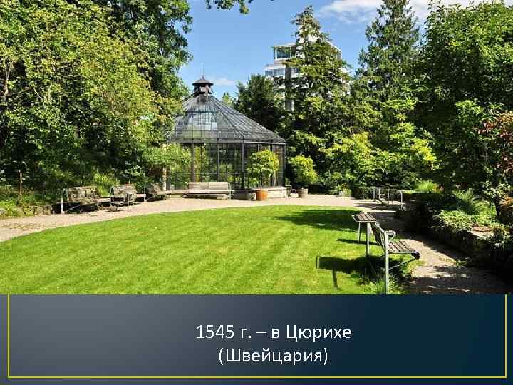 1545 г. – в Цюрихе (Швейцария) 