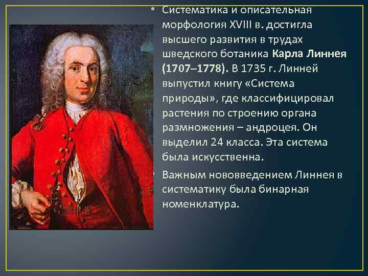  • Систематика и описательная морфология XVIII в. достигла высшего развития в трудах шведского