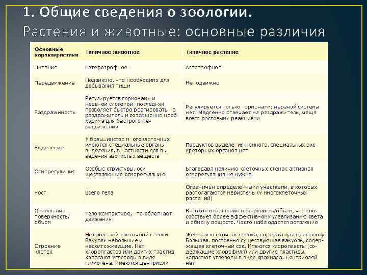 1. Общие сведения о зоологии. Растения и животные: основные различия 