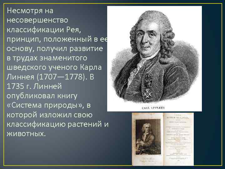 Принцип положенный в основу. Развитие систематики ученые. Систематика Рея. История развития систематики. Систематика Карла Линнея 1735.