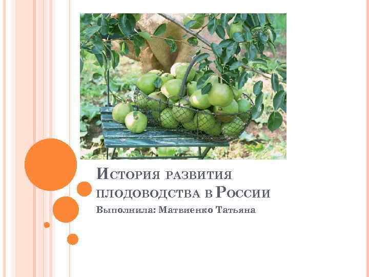 ИСТОРИЯ РАЗВИТИЯ ПЛОДОВОДСТВА В РОССИИ Выполнила: Матвиенко Татьяна 