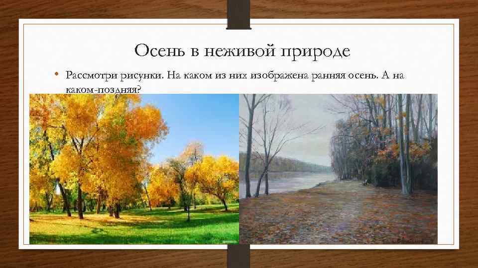 Осень в неживой природе • Рассмотри рисунки. На каком из них изображена ранняя осень.