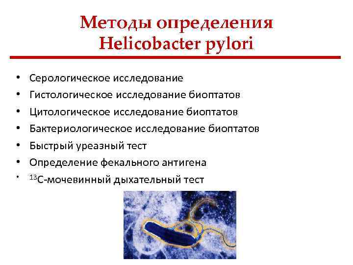 Методы определения Helicobacter pylori • • Серологическое исследование Гистологическое исследование биоптатов Цитологическое исследование биоптатов