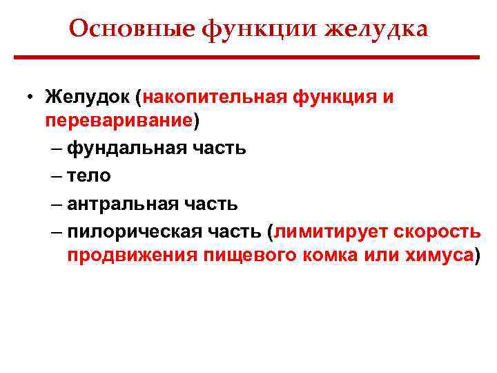 Основные функции желудка • Желудок (накопительная функция и переваривание) – фундальная часть – тело