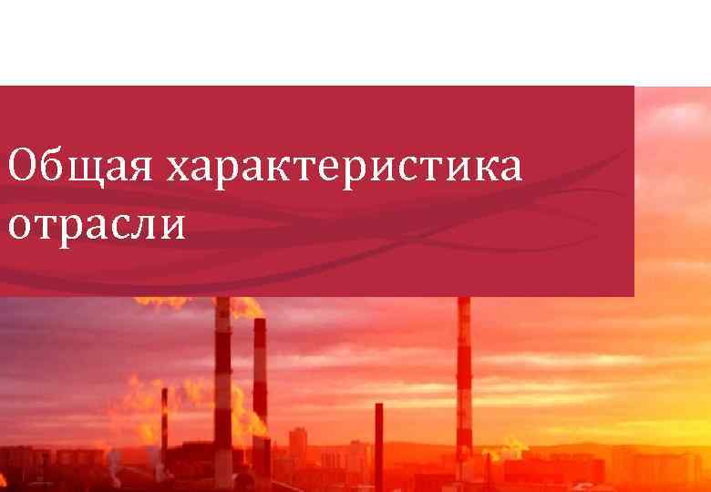 Общая характеристика отрасли 