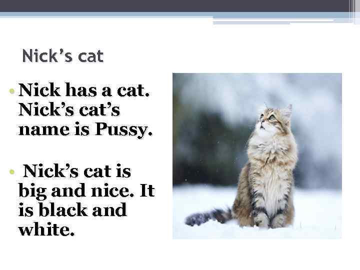 Nick’s cat • Nick has a cat. Nick’s cat’s name is Pussy. • Nick’s