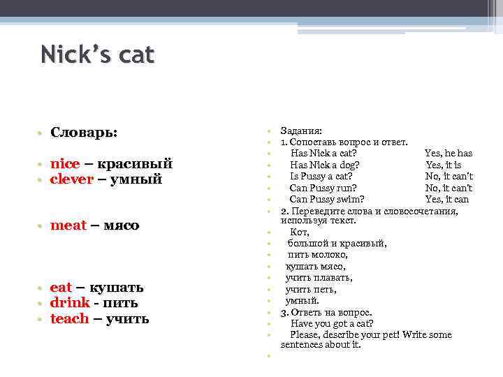 Nick’s cat • Словарь: • nice – красивый • clever – умный • meat