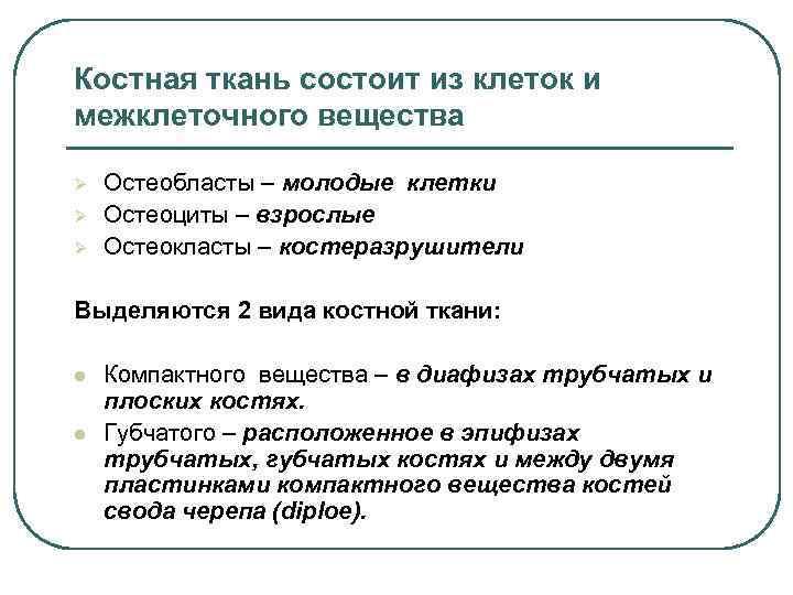 Костная ткань состоит из клеток и межклеточного вещества Ø Ø Ø Остеобласты – молодые