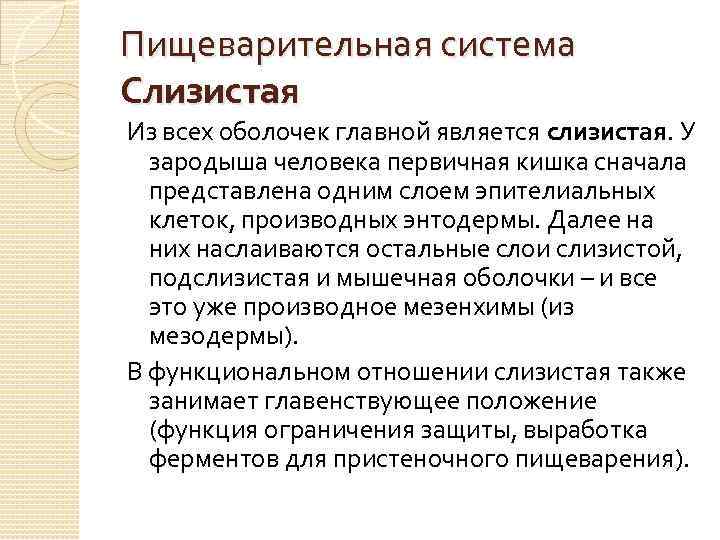 Пищеварительная система Слизистая Из всех оболочек главной является слизистая. У зародыша человека первичная кишка