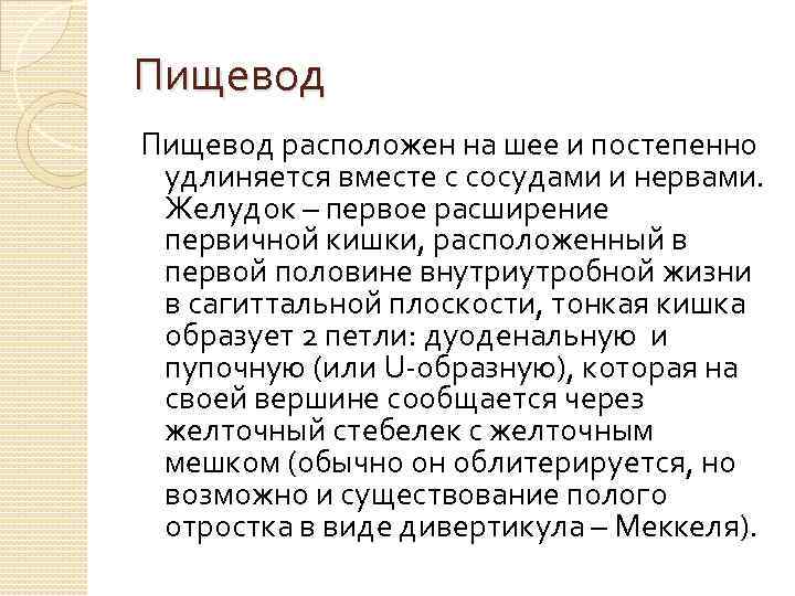 Пищевод расположен на шее и постепенно удлиняется вместе с сосудами и нервами. Желудок –