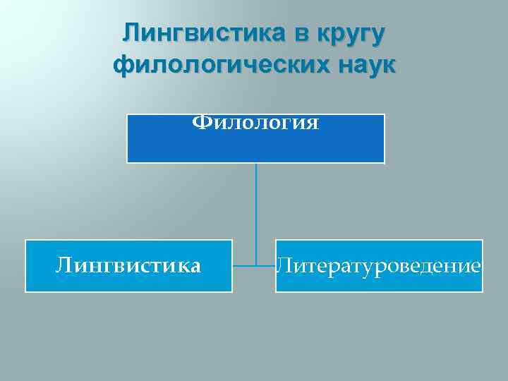 Филологический лингвистический