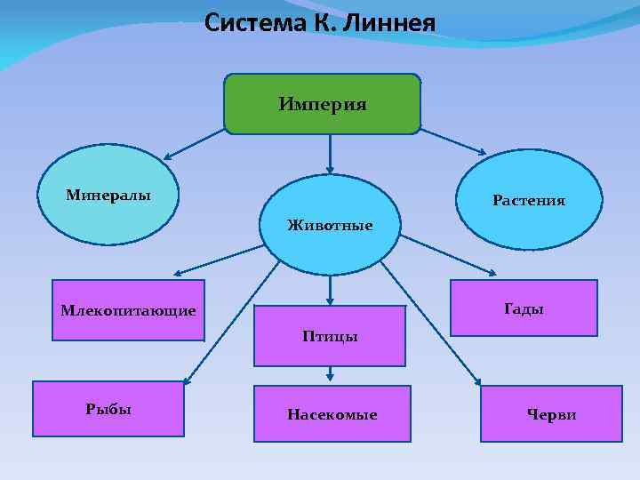 Система К. Линнея Империя Минералы Растения Животные Гады Млекопитающие Птицы Рыбы Насекомые Черви 