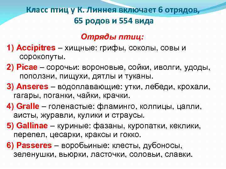 Класс птиц у К. Линнея включает 6 отрядов, 65 родов и 554 вида Отряды