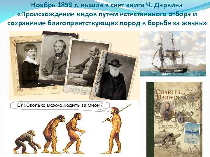 Ноябрь 1859 г. вышла в свет книга Ч. Дарвина «Происхождение видов путем естественного отбора