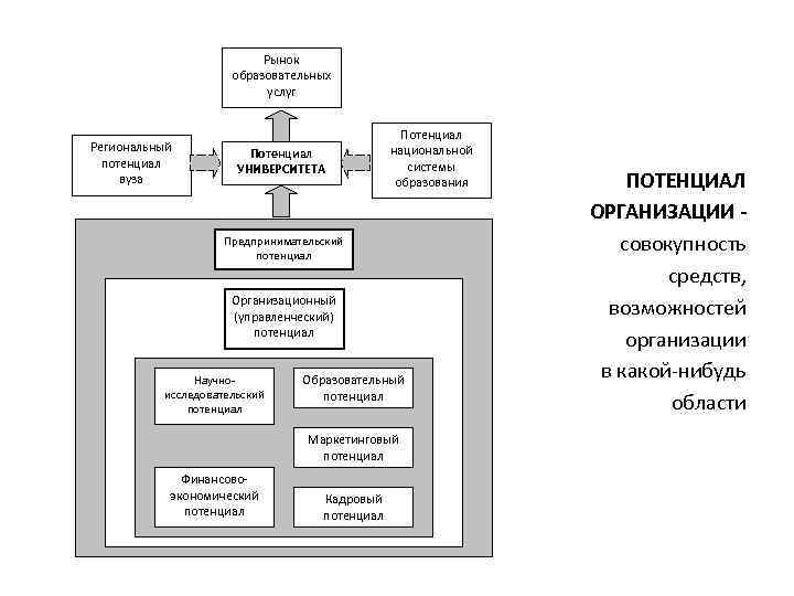  Рынок образовательных услуг Региональный потенциал вуза Потенциал УНИВЕРСИТЕТА Потенциал национальной системы образования Предпринимательский