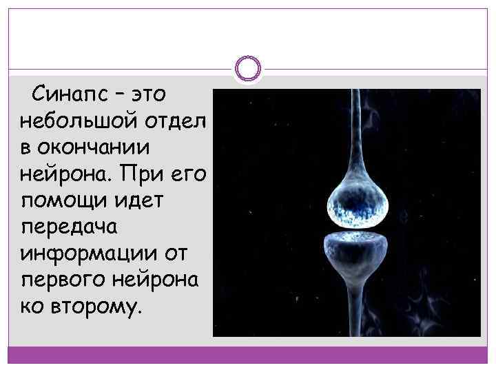 Синапс – это небольшой отдел в окончании нейрона. При его помощи идет передача информации